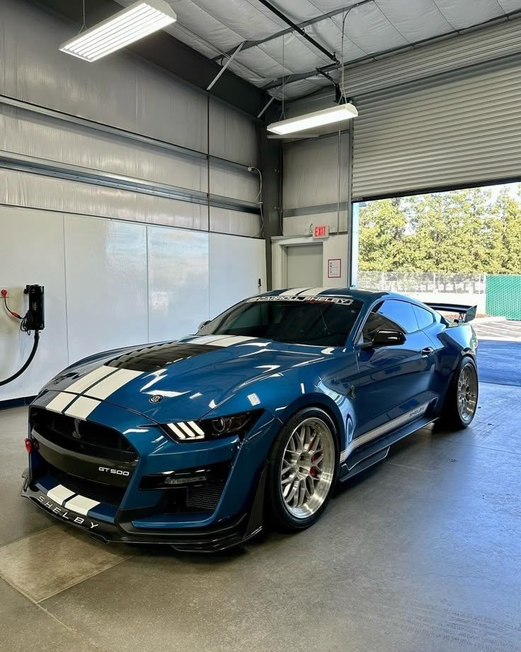 Shelby GT500 after full detail and ceramic sealant — deep blue gloss